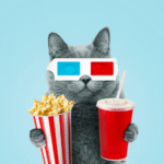Populiariausi kačių vardai iš filmų