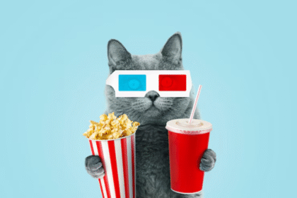 Populiariausi kačių vardai iš filmų