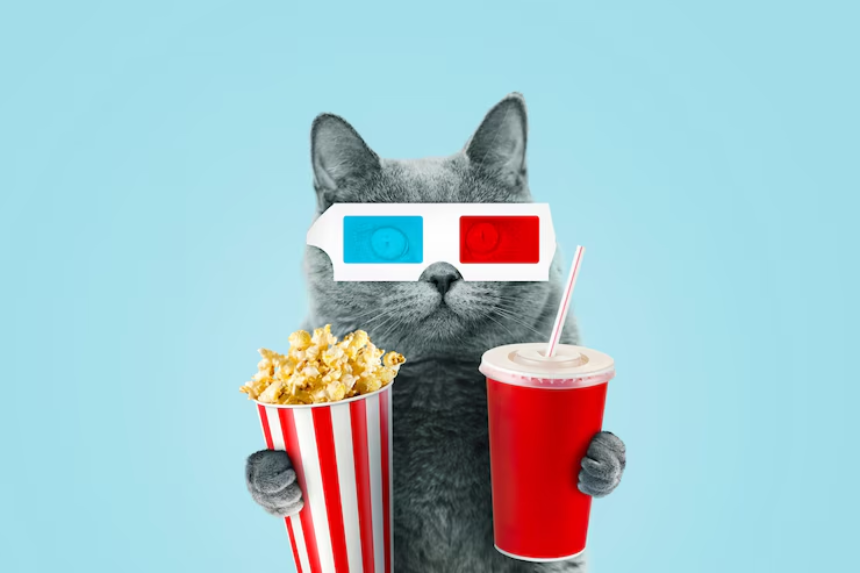 Populiariausi kačių vardai iš filmų