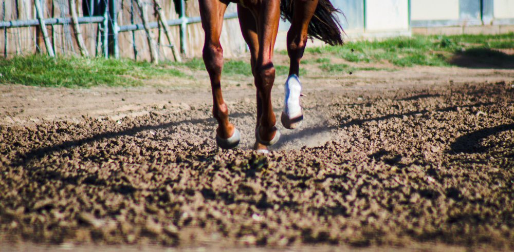 Kanopa kaip pagrindinė jėgos perdavimo sistema
