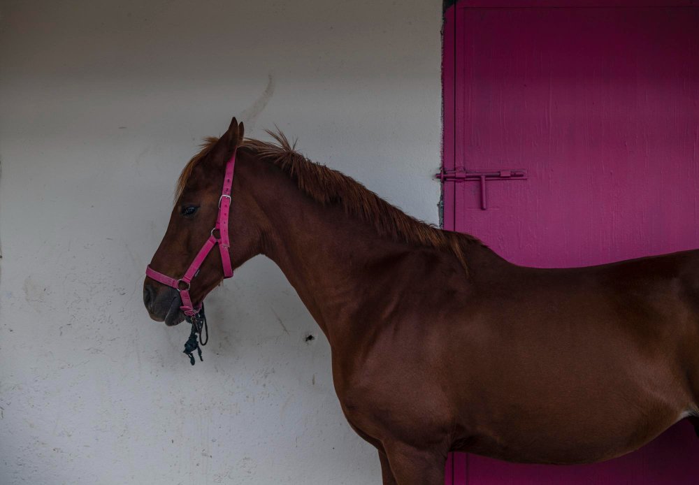 Pečių išsikišimas tarp menčių: kada tai normalu, o kada – nerimą keliantis požymis?