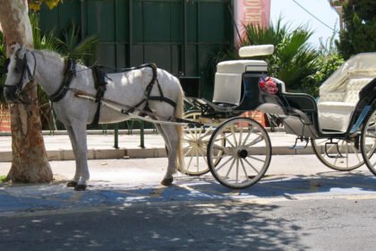 Arklio vežimas: tradicinė transporto priemonė ir jos reikšmė kultūroje