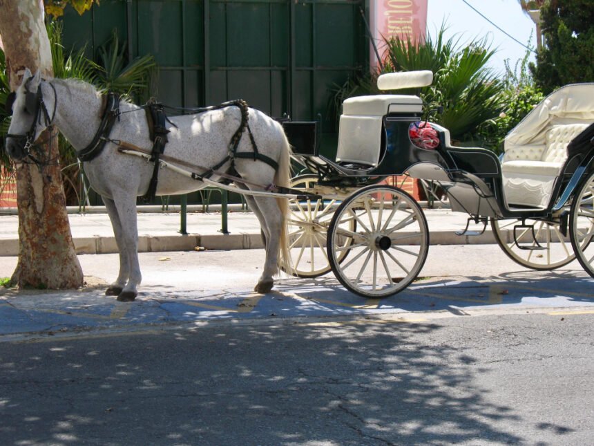 Arklio vežimas: tradicinė transporto priemonė ir jos reikšmė kultūroje