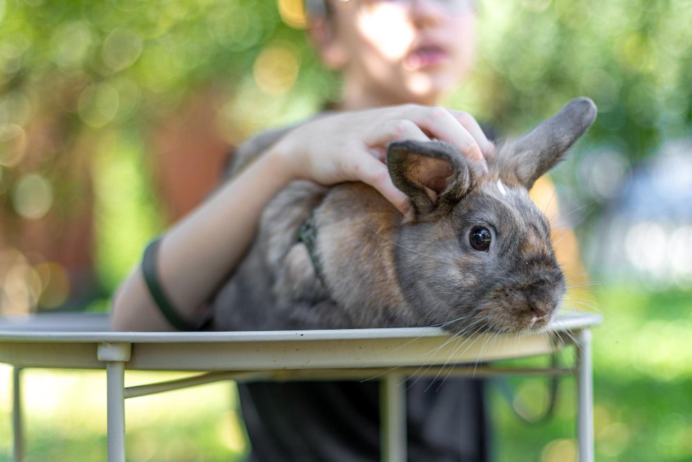 Britų milžinai (British Giant)