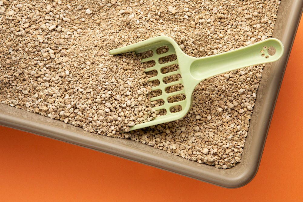 Dažniausios klaidos ir kaip jų išvengti