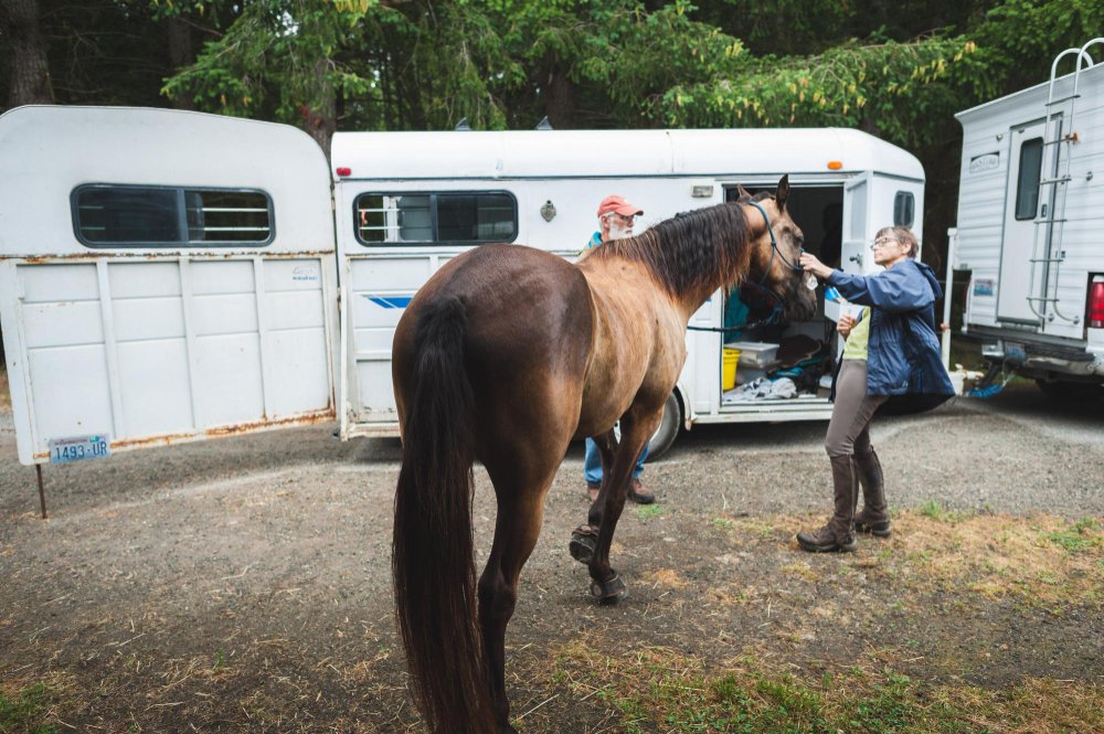 Transportavimas ir dokumentai