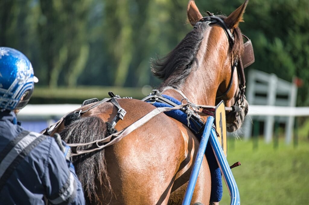 Pakinktų tipai ir jų skirtumai
