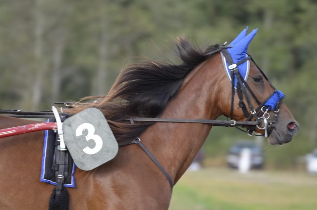 Saugos taisyklės dirbant su arkliu krūtininiuose pakinktuose