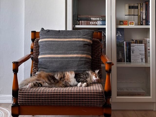 Elgesio ir nervų sistemos sutrikimai