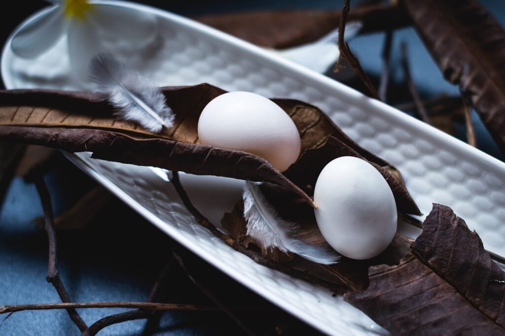 Kiek kiaušinių deda balandis ir kaip atrodo lizdas