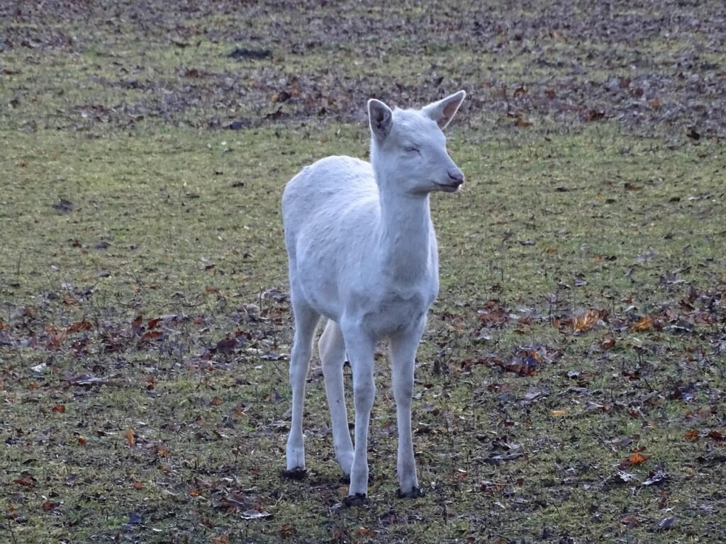 Regėjimas, sveikata ir elgsena: ar spalva turi įtakos?