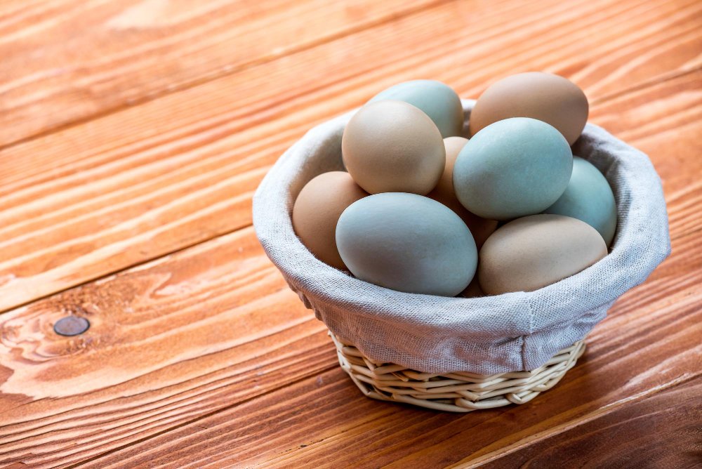 Dažniausios klaidos renkantis mėlynų kiaušinių dedėjas