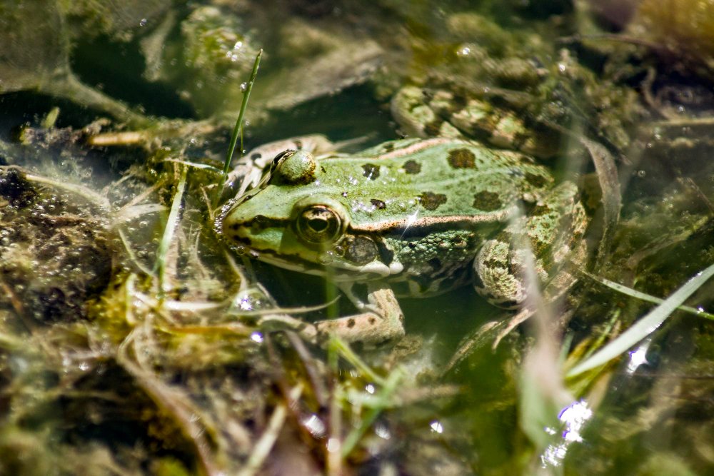 Kada kreiptis į specialistus