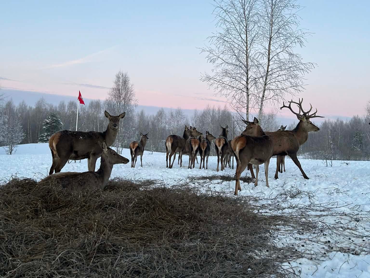 Kada negalima liesti jauniklio ir kada būtina kreiptis į specialistus