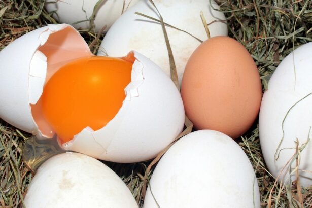 Žąsų kiaušiniai: dydis, sandara ir perėjimo ypatumai