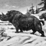 Gauruotasis raganosis: išnykusio ledynmečio milžino istorija