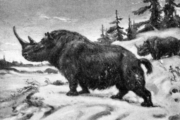 Gauruotasis raganosis: išnykusio ledynmečio milžino istorija