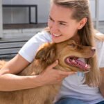 TOP 10 veislinių šunų prieglaudų Lietuvoje: atiduok ir pasiimk gyvūną tinkamai