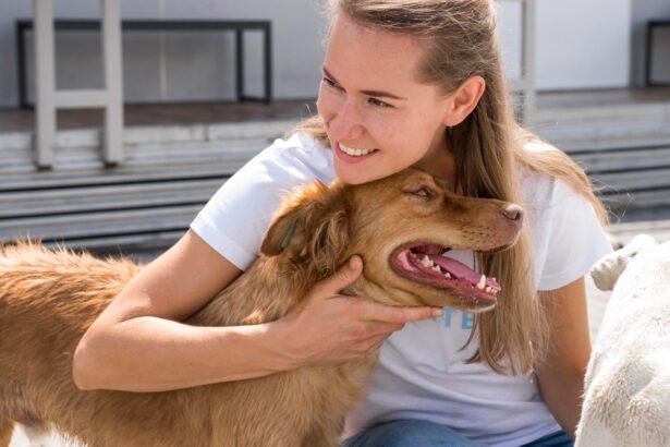 TOP 10 veislinių šunų prieglaudų Lietuvoje: atiduok ir pasiimk gyvūną tinkamai